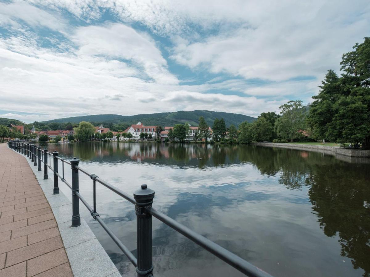 Attractive Bungalow In Ilsenburg With Terrace エクステリア 写真